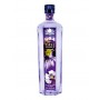 gin goa parma violet cl.70