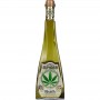 ASSENZIO EUPHORIA CANNABIS CL.50