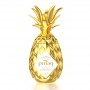 PINAQ LIQUEUR ORIGINALE LT.1