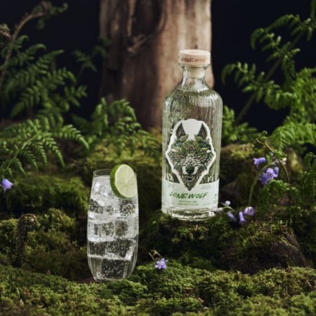 gin-brewdog-lonewolf-mexican-lime-ex-cactus-lime-cl70