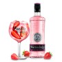 GIN PUERTO DE INDIAS STRAWBERRY CL.70