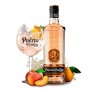 GIN PUERTO DE INDIAS PEACH & ORANGE CL.70