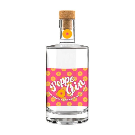 GIN « POPPE » L'IRRIVÉRENT ET LE DISRUPTIF AU MELON - MANTUAGINEXPERIENCE CL.70