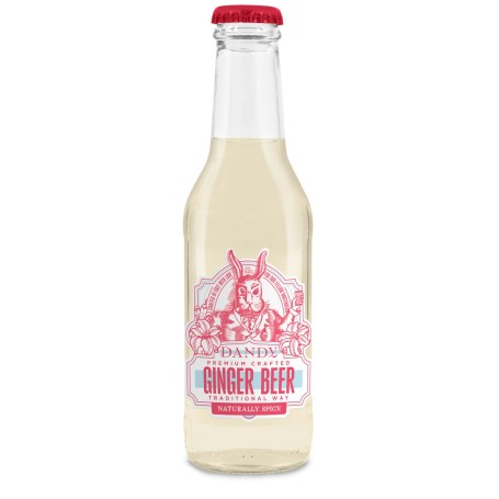 DANDY DRINK GINGER BEER CL.20 X 24 BT. VEGAN E GLUTEN FREE
