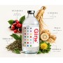 GIN GIN+ BOTANICAL INFUSION CL.50