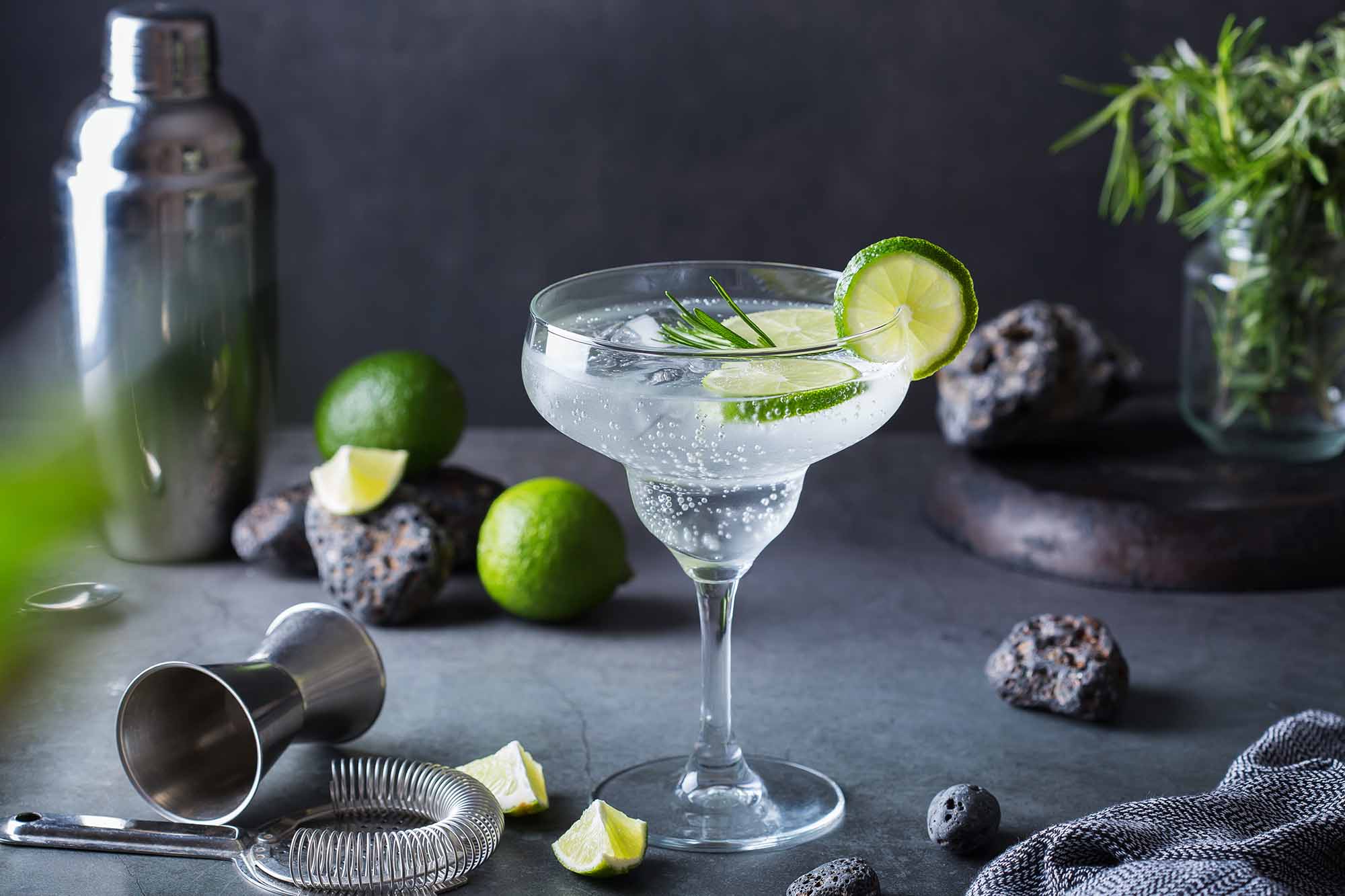 Gin Tonic Ricette