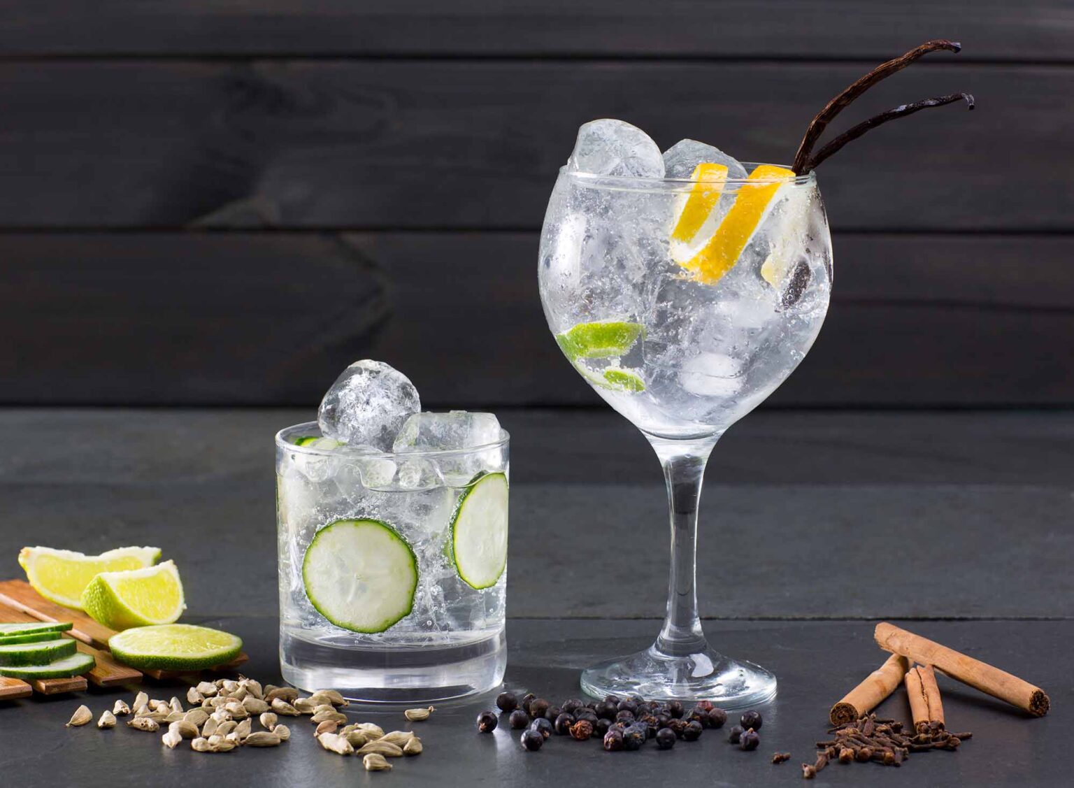 Gin Tonic storia e ricetta My Spirits