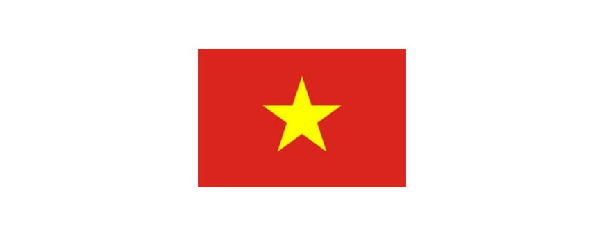 Vietnam del Sud