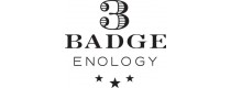 3 Badge